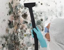 Best Basement Mold Removal in Aspen, CO